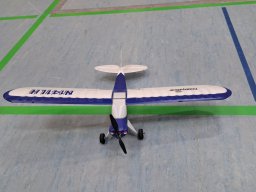 hallenfliegen26012025 3